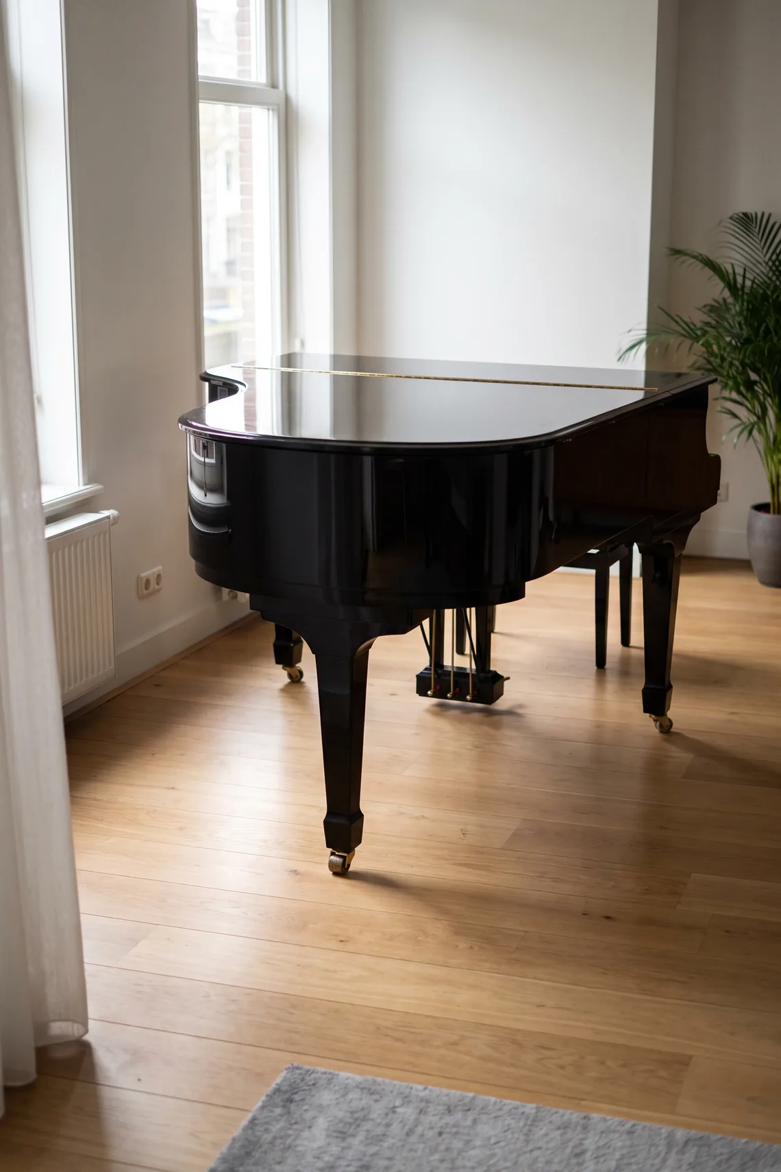 Een zwarte vleugel met dichte klep in een lichte kamer.